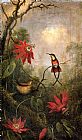 Passion Flowers and Hummingbirds 2